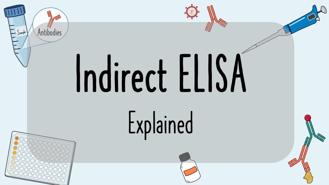 Indirect Elisa Explained - YouTube