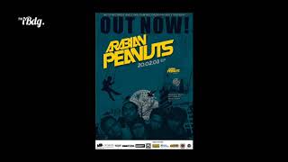 IndieBdgHistory_ARABIAN PEANUTS - Telah Mati (Pop Punk)
