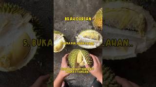 Siapa peminat buah durian Sila angkat tangan.. ??‍♂️??‍♂️ Perlu belajar juga cara membukanya..