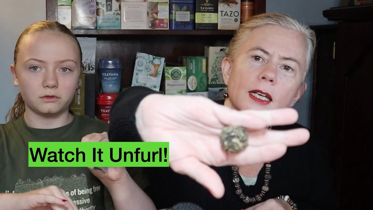 We Try Tealyra White Dragon Pearl Tea