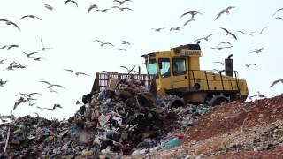 Landfill facts and statistics - A global problem