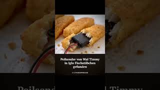 Peilsender Fischstäbchen❤️🙈