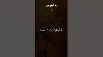 #آية_الكرسي #سورة_البقرة #ياسر_الدوسري #لايك #اكسبلور #قرآن #راحة_نفسية