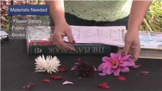 Gardening Tips : How to Dry Flower Petals