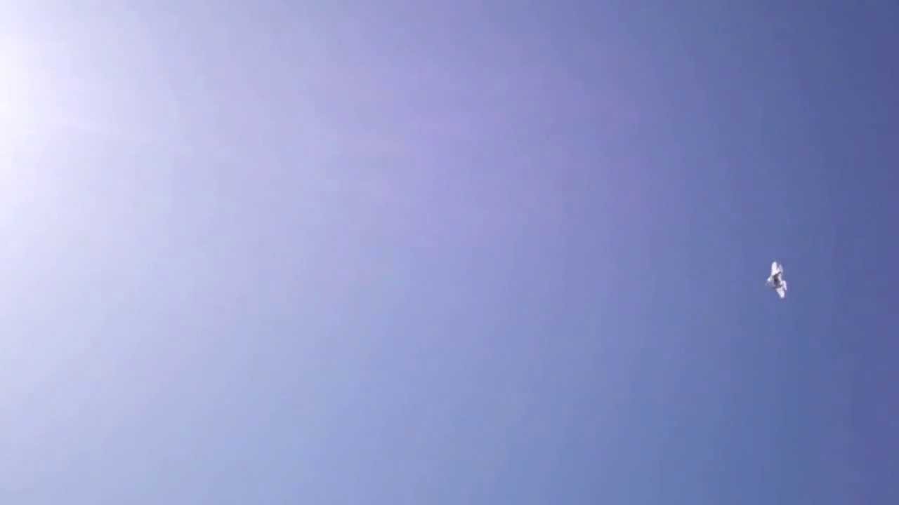 rc plane stuck in tree part 1