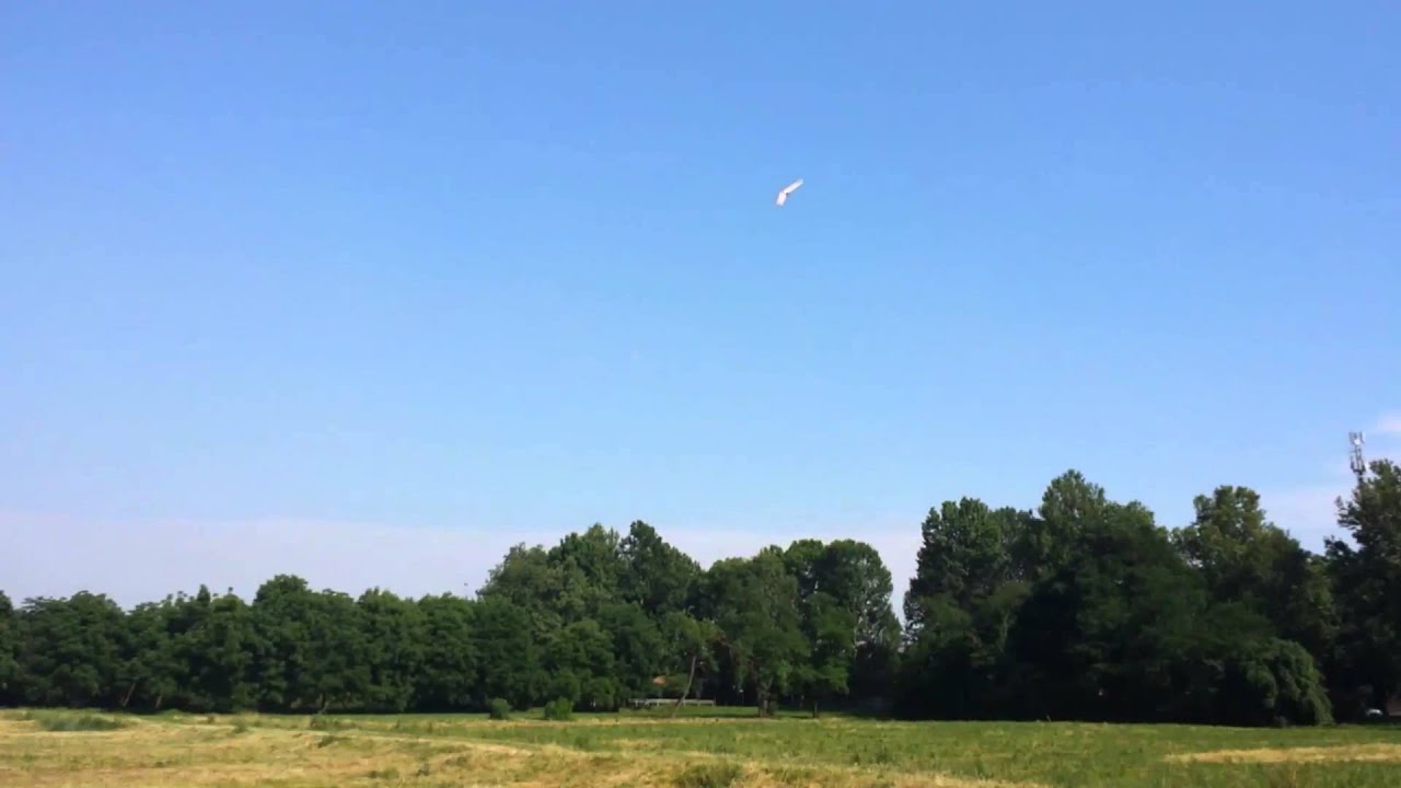 hk Combat & Slope Soaring Wing (EPP Foam / CF tube)