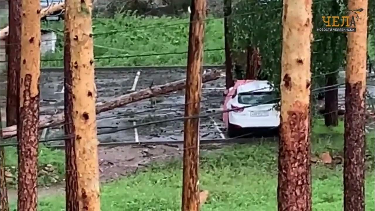 шмыков владислав викторович. убийство в чебаркуле 2009. владимир долгих чебаркуль.