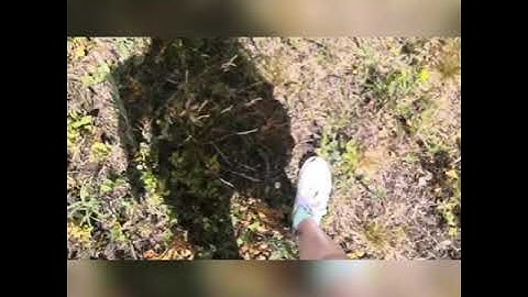 Skypuff Electric winch