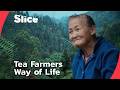 Inside China’s Tea Heartland: Life in the Mountains of Sichuan | SLICE