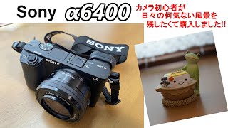 SONY ミラーレス α6400 ダブルズームキット 購入（作例有り）