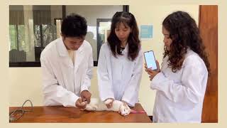 Laboratory Exercise 11: The Heart Rate and Pulse Rate
