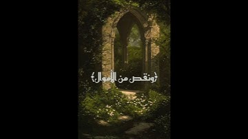 آيات الصبر | تلاوة تريح القلب 🌿