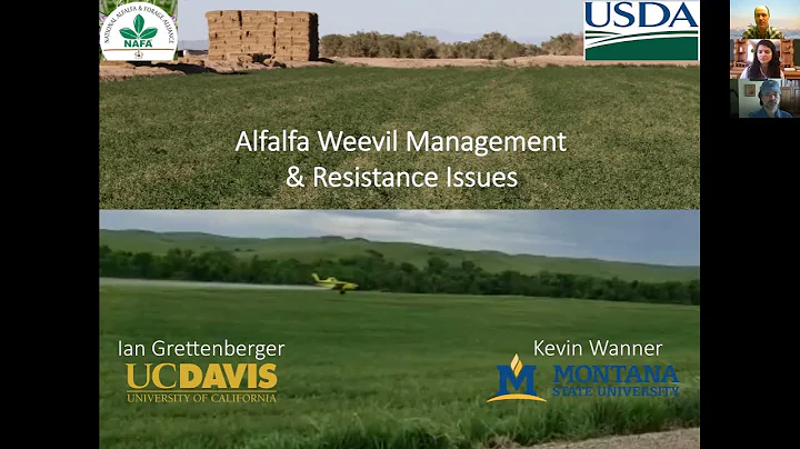 Resistance in Alfalfa Weevil Webinar 2021