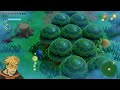 Legend of Zelda: Echoes of Wisdom - Link SURPRISED EVERYONE!!