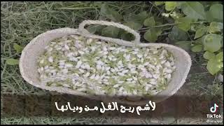 قصيدة  (يا أهل أبها والجنوب المورق )