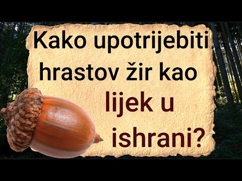 🍁🍂 Kako upotrijebiti hrastov žir kao lijek u ishrani? - Recept za paštetu od hrastovog žira 🍁🍂