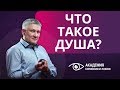 Что такое душа? В чем разница между душой и духом?