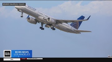 Man charged after allegedly stabbing flight attendant and trying to open door mid-flight