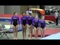 20200110 winter cup gymnastics meet xcel gold