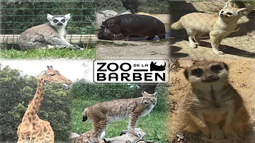 Quand ouvrira le zoo de la Barben ?
