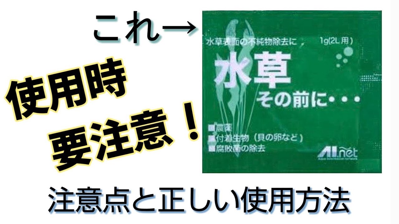 水草その前 にを使う その前に Youtube