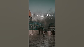 عبدالرحمن مسعد - سورة ال عمران | والله يؤيد بنصره من يشاء #عبدالرحمن_مسعد #فلسطين #تلاوة_خاشعة #قران