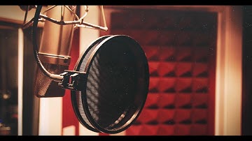 Micozy  - The only microphone cover, protector and carrying case in the world!