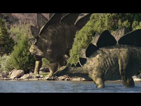 Video: Ist Stegosaurus ein Pflanzenfresser?