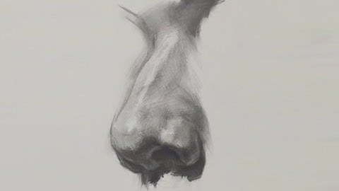 How to Draw Nose | Time Lapse