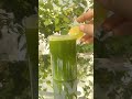fresh & healthy juice🧃🍹#healthylifestyle #morningroutine #viralshots #healthyhabits #selfgrowth