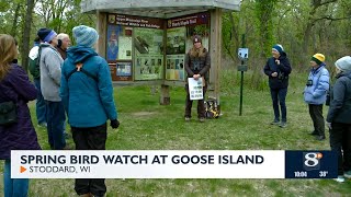 Spring bird watch at Goose Island
