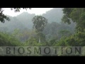 Biosmotion  amazing indonesian wildlife  showreel alain compost