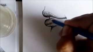 Drawing : How to Draw Lips [Part 1] 1080pᴴᴰ