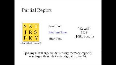 Memory   Sensory and Short term Memory