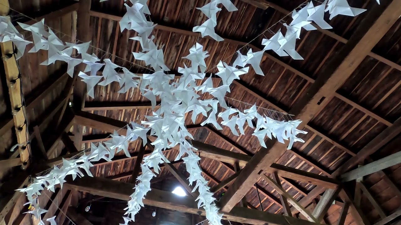 Birds 005 Wedding Birds In The Barn Averill Park New York