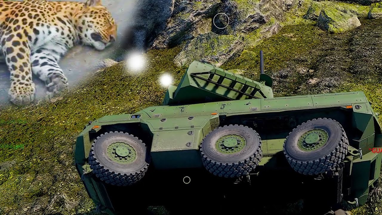 Ягуары много спят