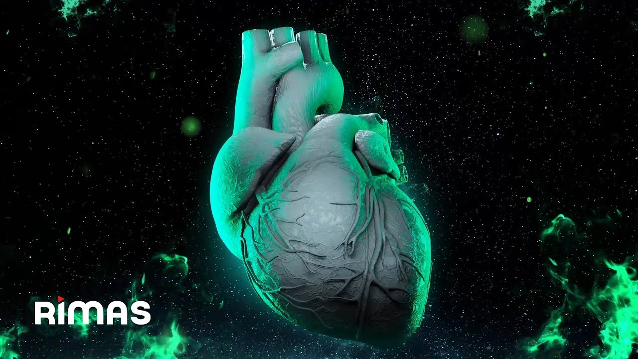alex g rgolas lyanno amor t xico visualizer oficial alex g rgolas lyanno amor t xico visualizer oficial