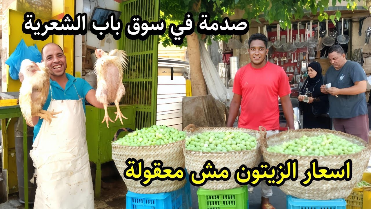 صدمة 😱 تغيير غير متوقع في اسعار الزيتون الاخضر 🌿 والفراخ والسمك في سوق باب الشعرية