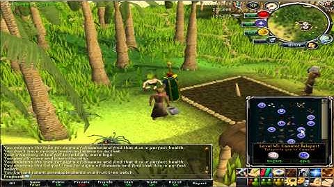 RuneScape Randomness Video #2 - With Commentary