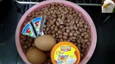 Mồi Câu Cá Chim Cực Bén | Đậu Phộng Bột Câu Cá Chim Cực Bén