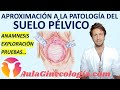 APROXIMACIÓN A LA PATOLOGÍA DEL SUELO PÉLVICO: ANAMNESIS y EXPLORACIÓN. - Ginecología y Obstetricia-