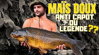 CARPES en FLEUVE, le MAÏS DOUX et t’il ANTI CAPOT l’été ?! 
