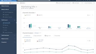 Getting Started Website Analysis | Lesson 3