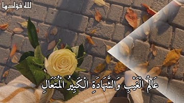 اللَّهُ يَعْلَمُ مَا تَحْمِلُ كُلُّ أُنثَىٰ //القارئ يوسف عثمان الكردي