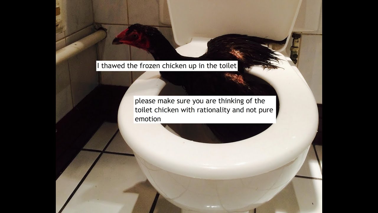 Crazy Stories From r/relationships - Toilet Chicken