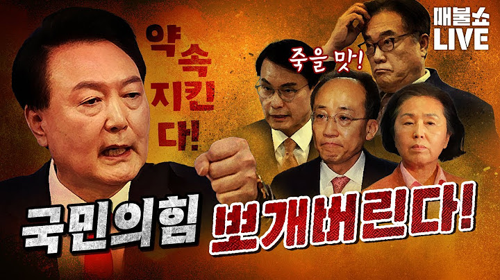 국힘을 완벽히 뽀개버리는 윤석열! (박선원, 심인보, 김상욱, 최강욱)