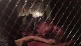 Five Nights at Rooster Teeth RTX2016 (unedited)