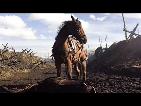 Sound The Bugle A Bryan Adams Cover By Thomas Straiton War Horse