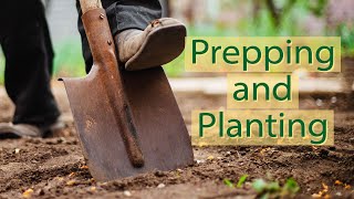 Planting California Natives: Preparing and Planting