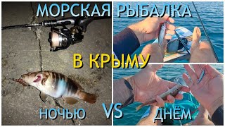 видео: Рыбалка НОЧЬЮ и ДНЁМ. Пикша на ПИЛЬКЕР с САП-доски! картинка: Рыбалка НОЧЬЮ и ДНЁМ. Пикша на ПИЛЬКЕР с САП-доски!